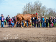 BP200326-66 - It's Hard To Know